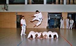 Taekwondo-Verein Uttendorf